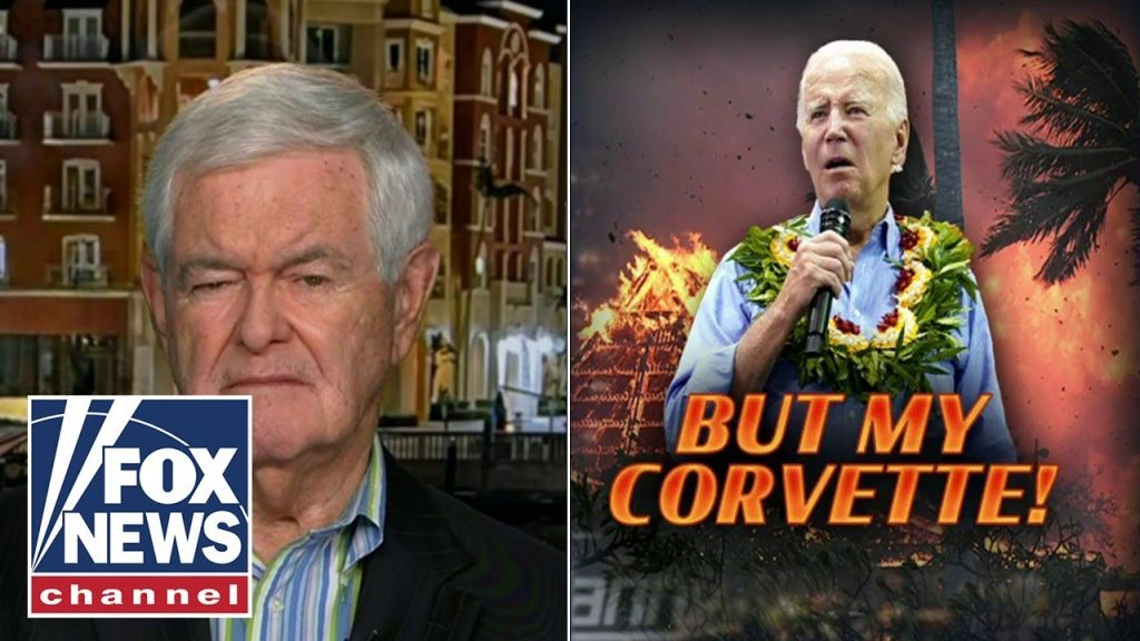 Biden’s visit to Maui was ‘frightening’: Newt Gingrich