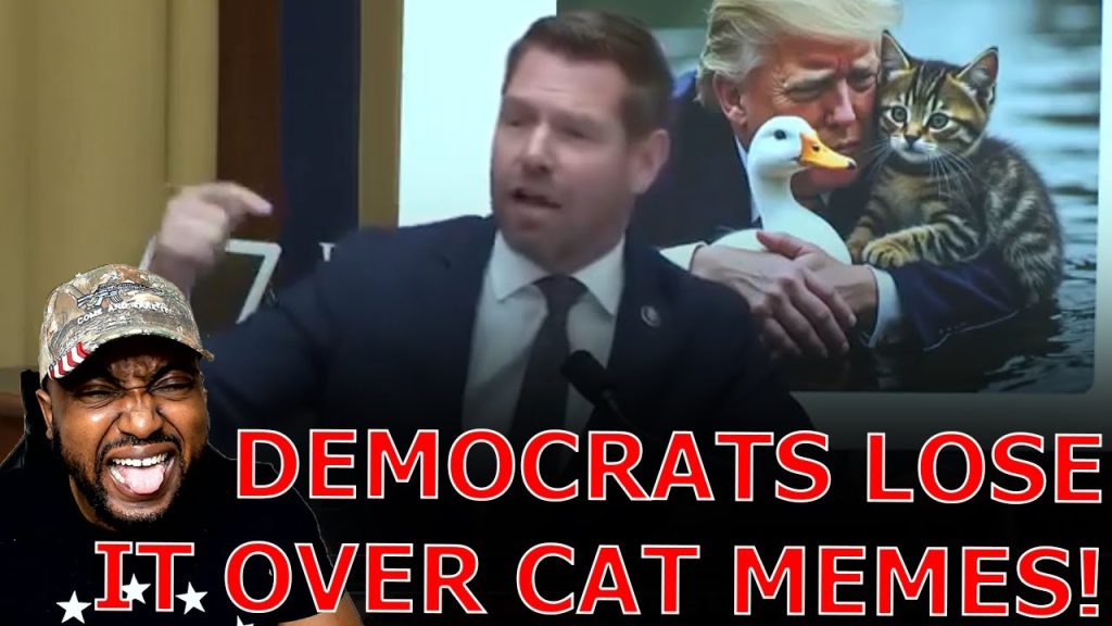 Democrat MELTS DOWN Over GOP Ducks & Cat Memes In Backlash Against Haitian Migrants Taking Over Town