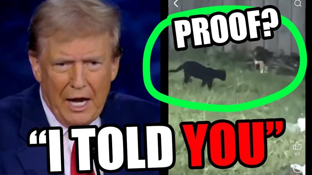 Well, well… Would’ya look at that. Well, well… Would’ya look at that.