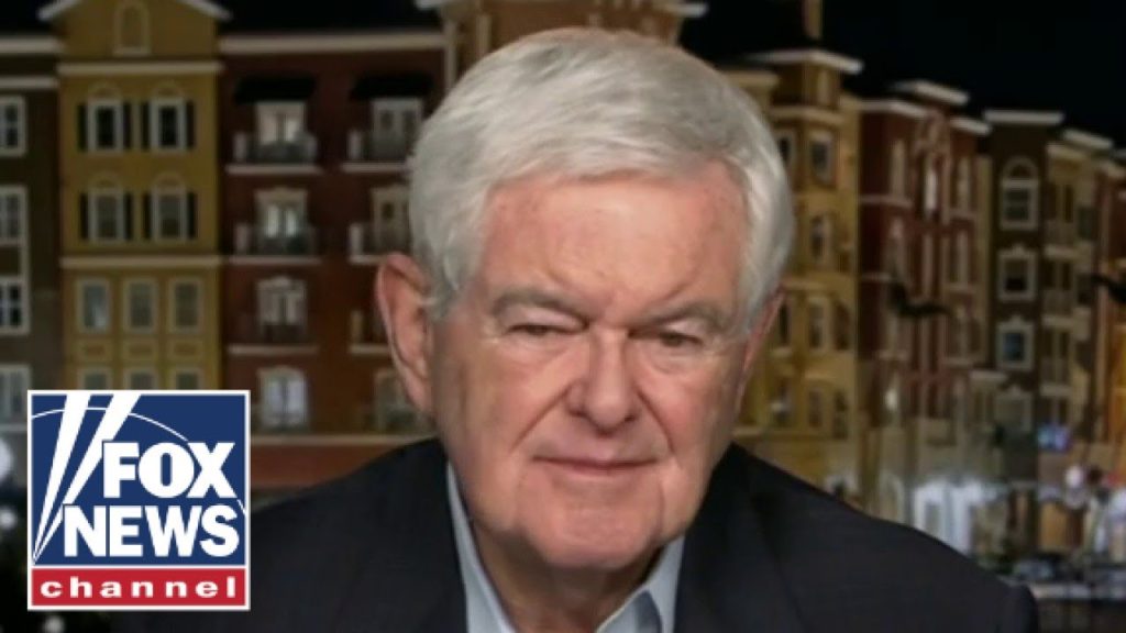 Newt Gingrich: The left cannot defend this Newt Gingrich: The left cannot defend this