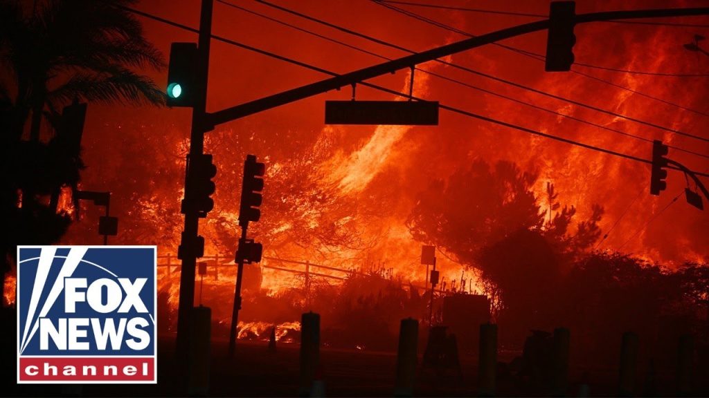 PUTTING PLANTS OVER PEOPLE’: California official blasts state’s wildfire mismanagement