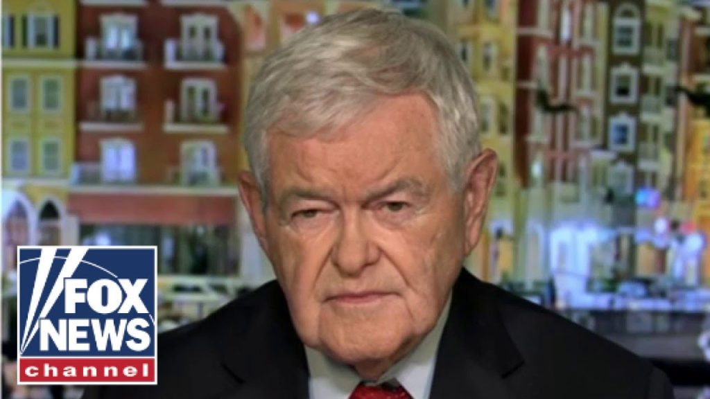 Newt Gingrich: Democrats are watching this ‘with terror’