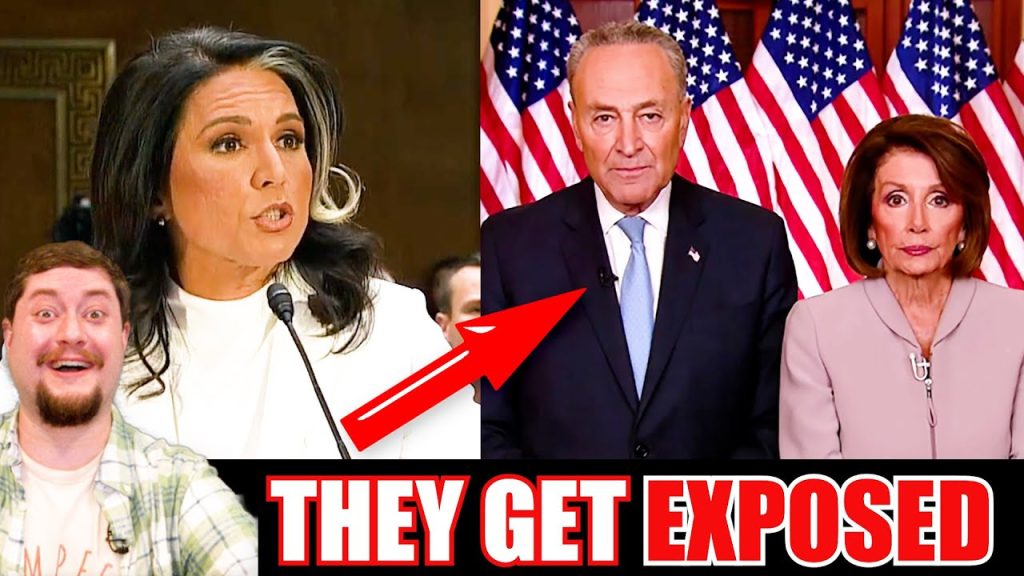 Tulsi goes on EPIC rant, FORCES every Democrat to sit there & TAKE IT