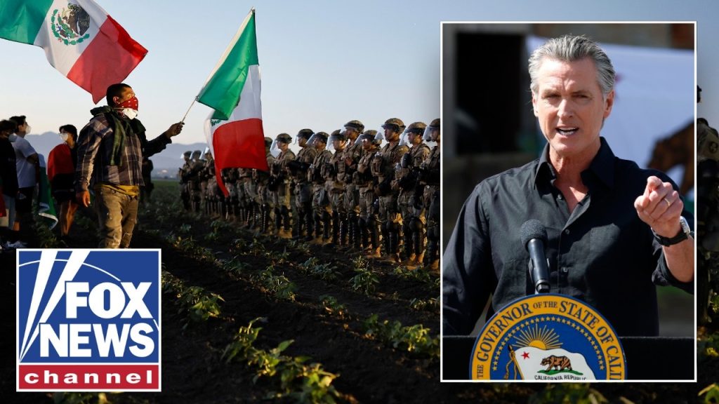 REVEALED: California pot farm owner’s ties to Newsom