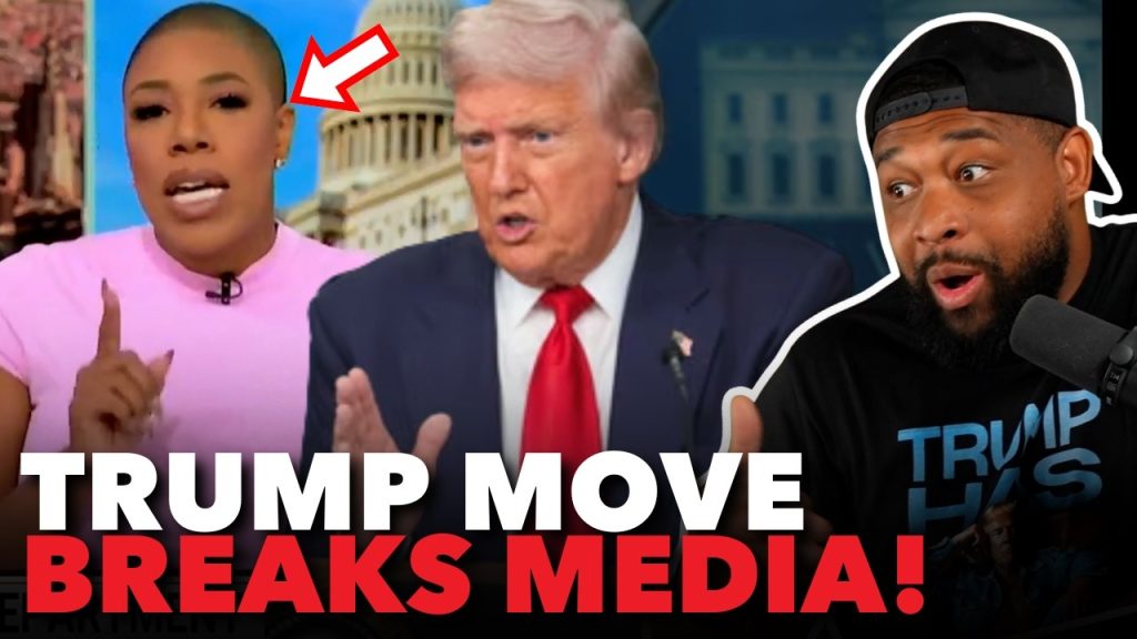 MSNBC LOSES IT as Donald Trump DEPLOYS NATIONAL GUARD to DC