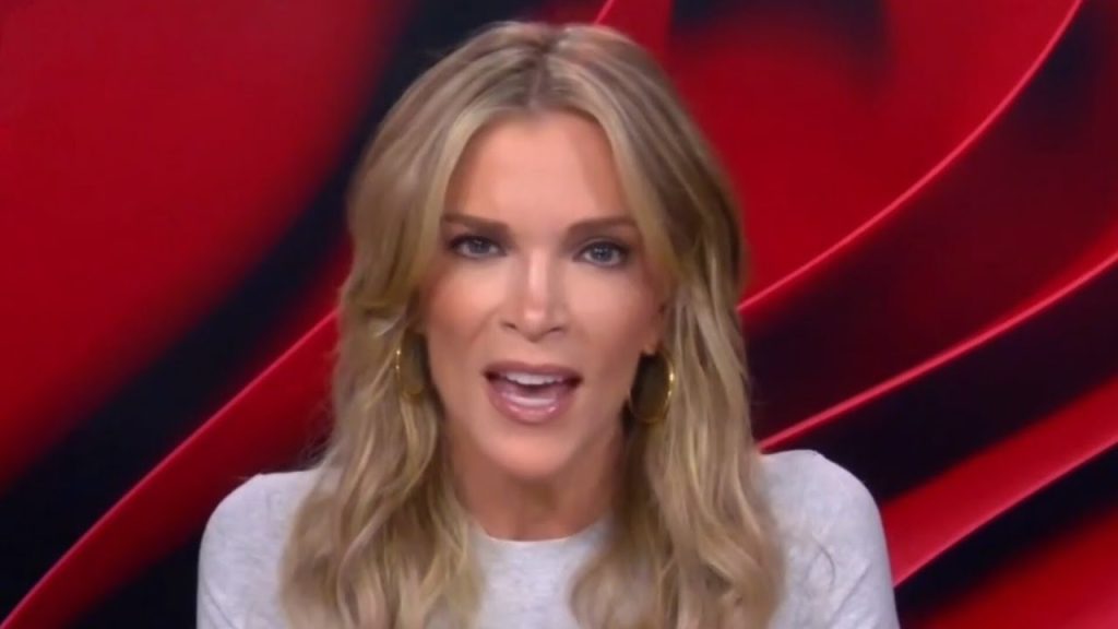 ‘F***ing stupid’: Megyn Kelly blasts Vanity Fair for ‘alienating’ half of America ‘F***ing stupid’: Megyn Kelly blasts Vanity Fair for ‘alienating’ half of America