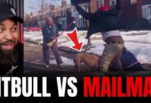 Pit Bull Attacks Mailman Then Whole Neighborhood Jumps In! Pit Bull Attacks Mailman Then Whole Neighborhood Jumps In!