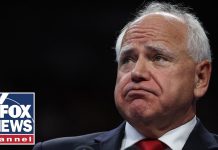 Jordan goes SCORCHED EARTH over alleged fraud in Minnesota: This is ‘REAL’ Jordan goes SCORCHED EARTH over alleged fraud in Minnesota: This is 'REAL'