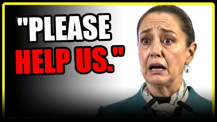 Now she's BEGGING for TRUMP's HELP...