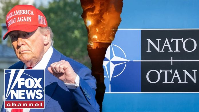 NEW: NATO takes stance on Trump's Iran strikes