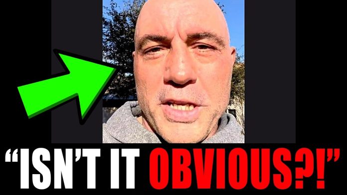 Joe Rogan just made a VERY INTERESTING observation...