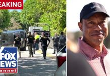 BREAKING: Pictures released in reported Tiger Woods car crash BREAKING: Pictures released in reported Tiger Woods car crash