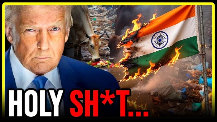 They just did something VERY STUPID...