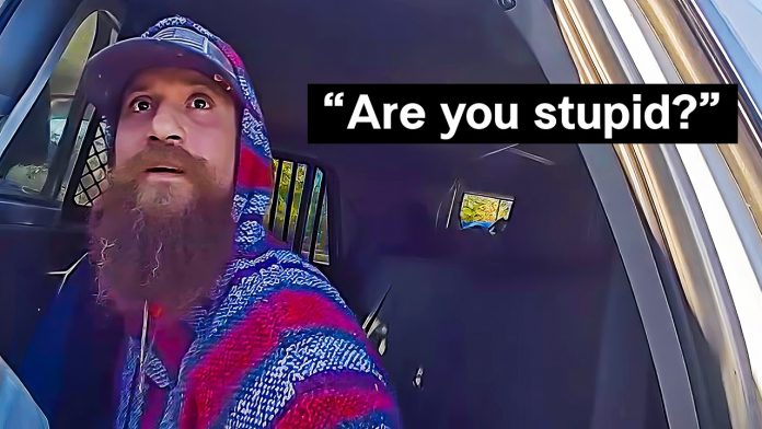 A Mountain Lion Stalked Him… And People Blamed The Man