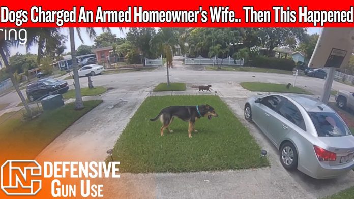 His Wife Was Trapped In The Driveway… Then He Came Back Armed
